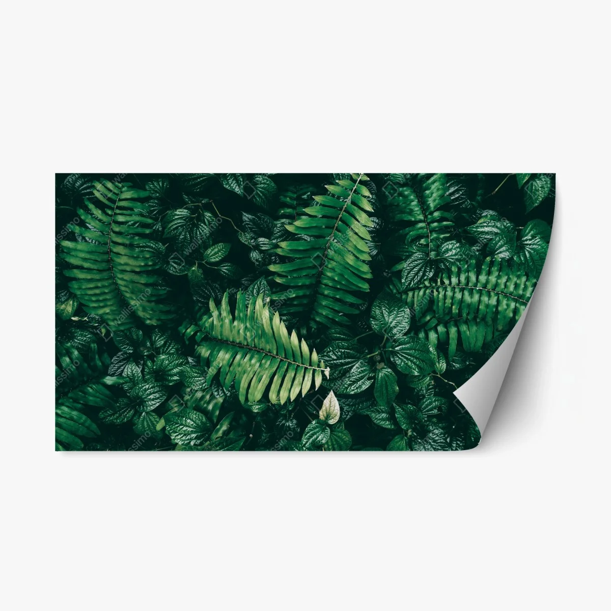 Repositionable sticker lush tropical green leaves ⁕ Wallissimo® Repositionable sticker lush tropical green leaves ⁕ Wallissimo®