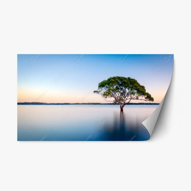 Repositionable sticker solitary tree over a tranquil lake