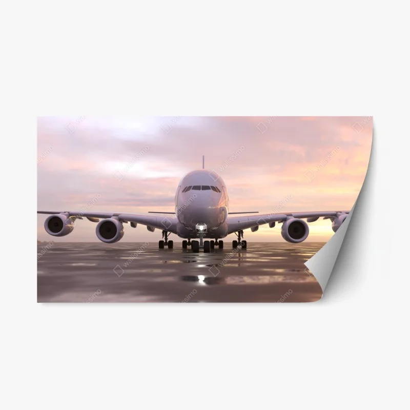 Repositionable sticker front view jet on runway at sunset