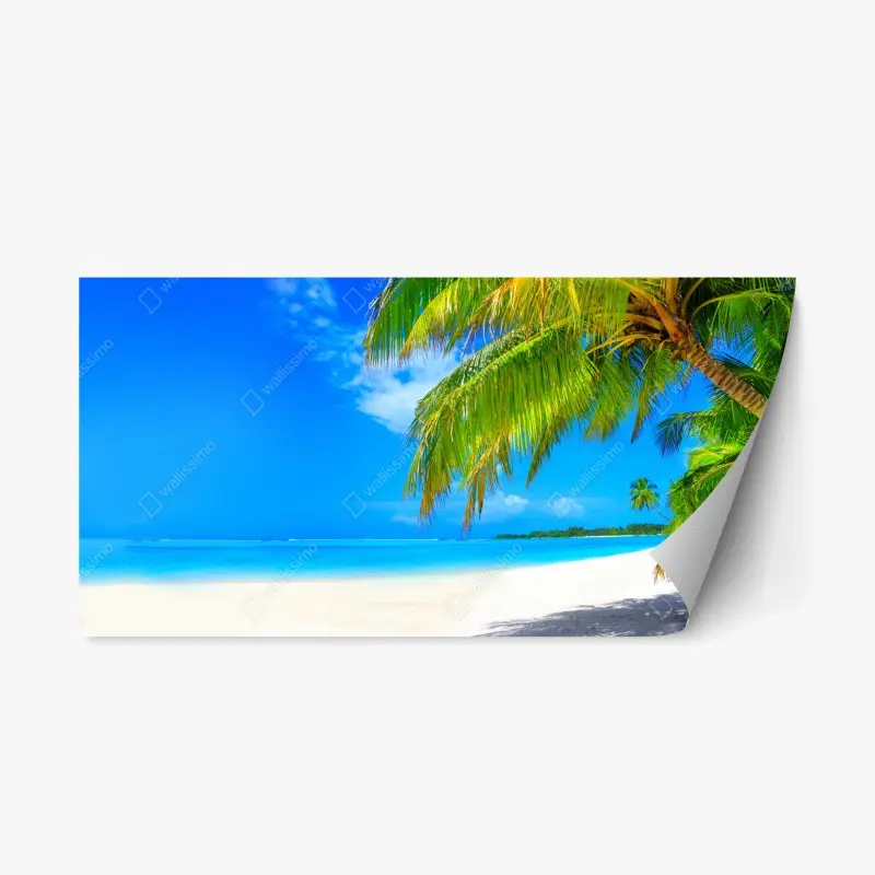 Repositionable sticker • Wallissimo®