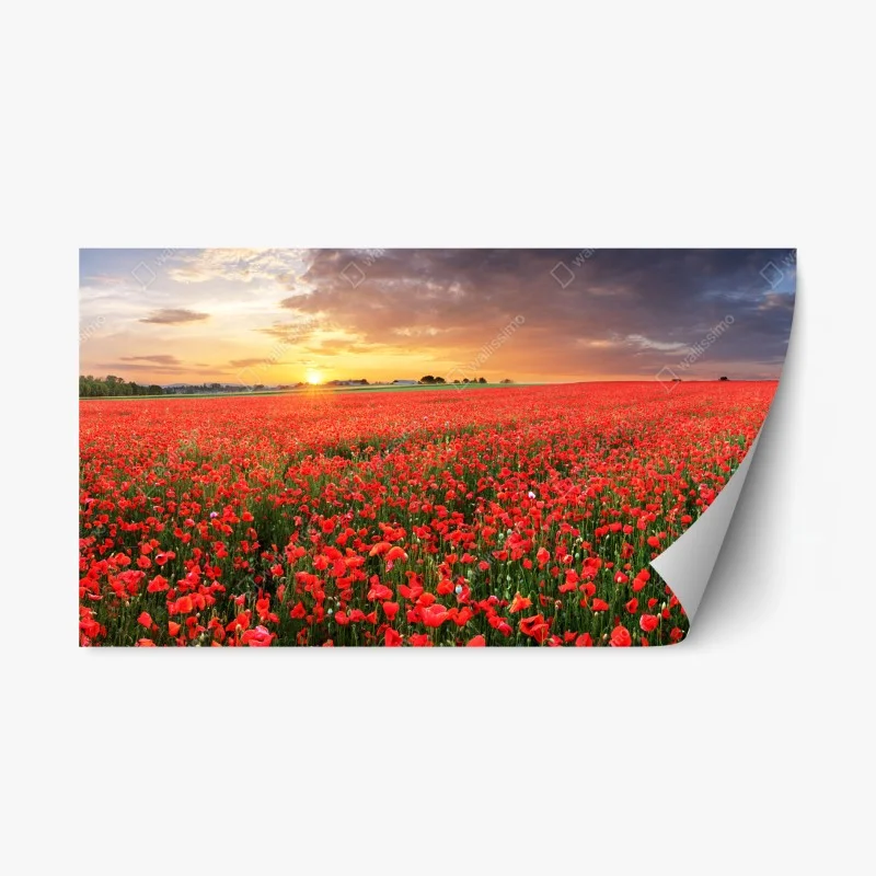 Repositionable sticker sunset poppy field panorama