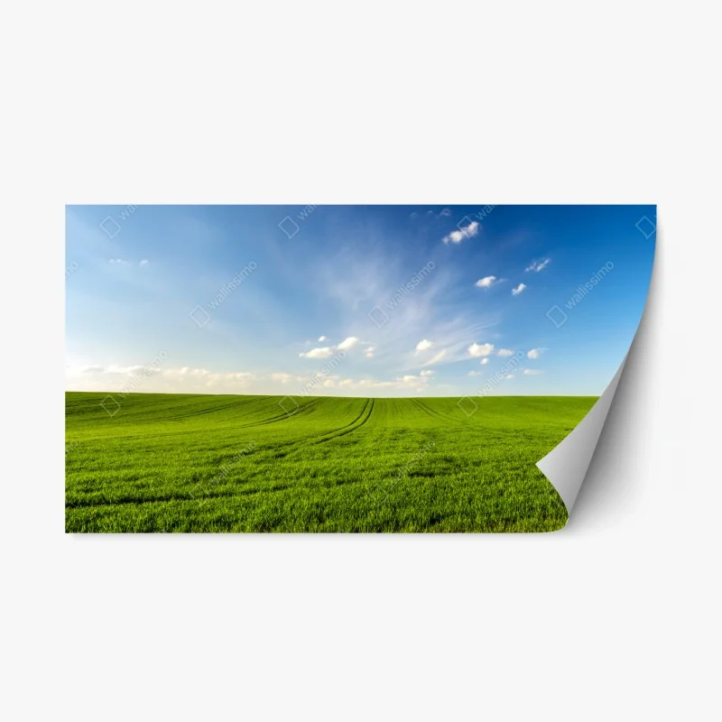 Repositionable sticker spring green meadow panorama