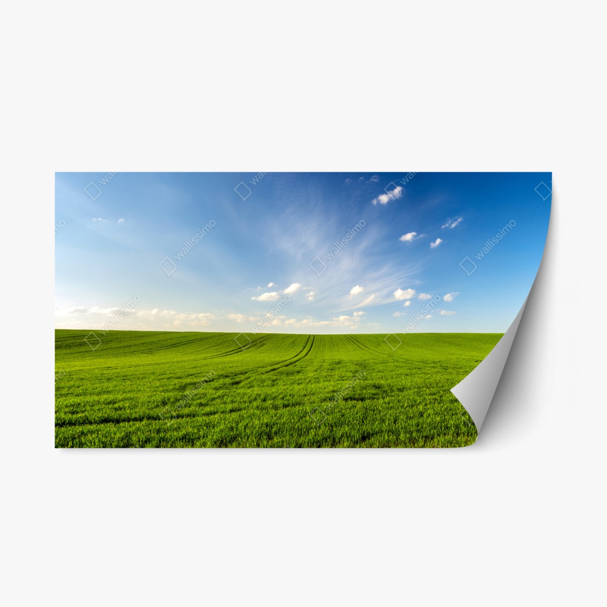 Repositionable sticker spring green meadow panorama • Wallissimo® Repositionable sticker spring green meadow panorama • Wallissimo®