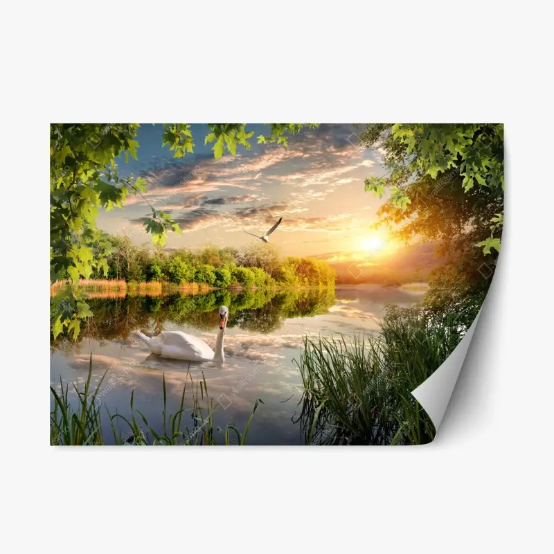 Repositionable sticker sunset swan on tranquil lake