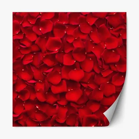 Repositionable sticker red rose petal background • Wallissimo®