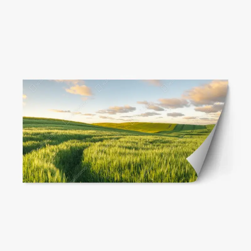 Repositionable sticker monochrome botanical leaf composition • Wallissimo®