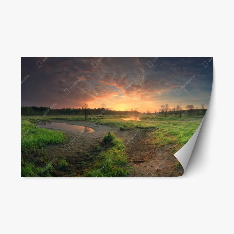 Repositionable sticker sunset over a peaceful meadow