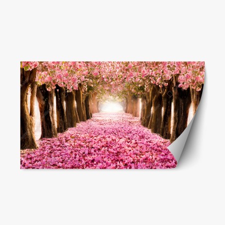 Repositionable sticker pink blossom pathway under cherry trees • Wallissimo®