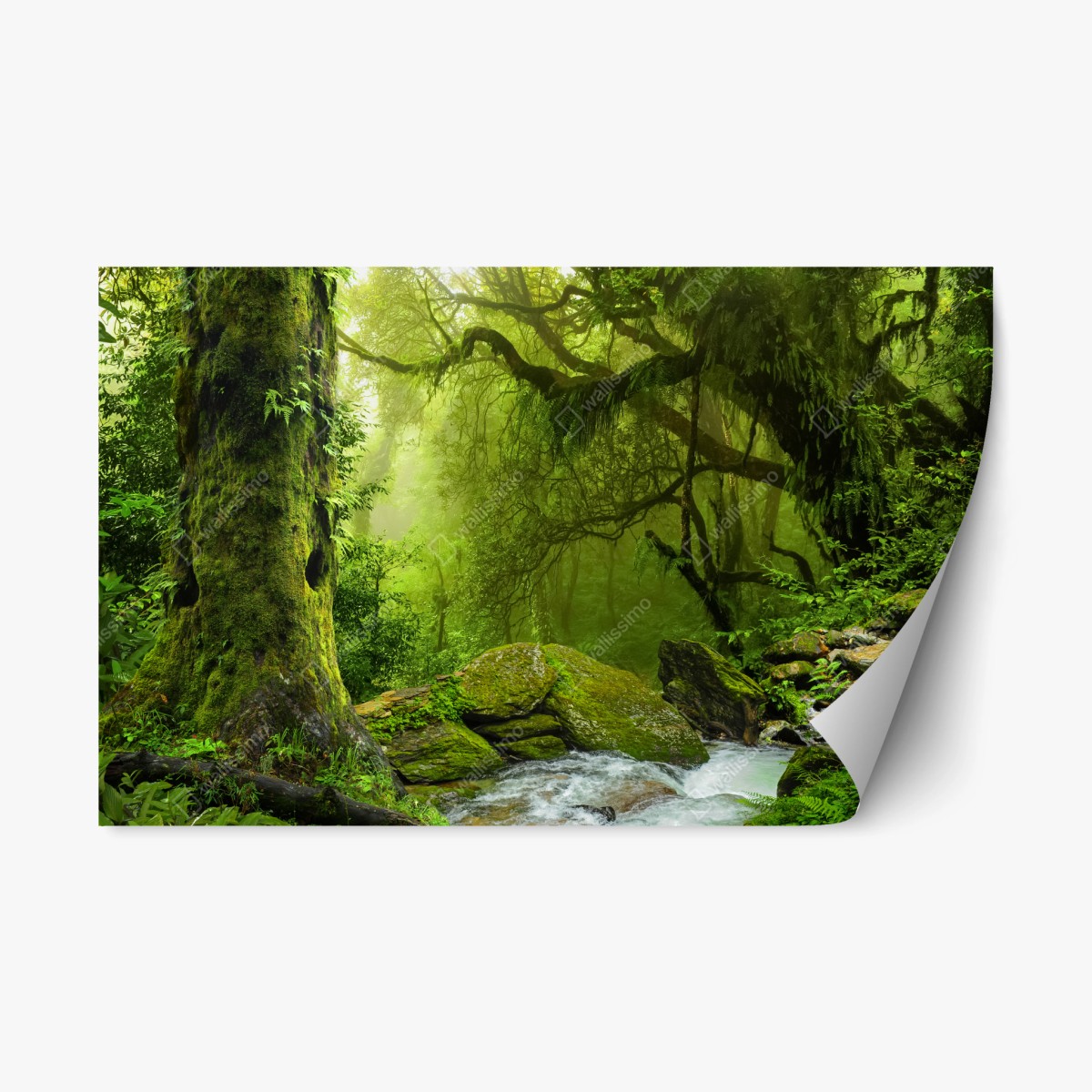Repositionable sticker enchanted green forest stream • Wallissimo® Repositionable sticker enchanted green forest stream • Wallissimo®