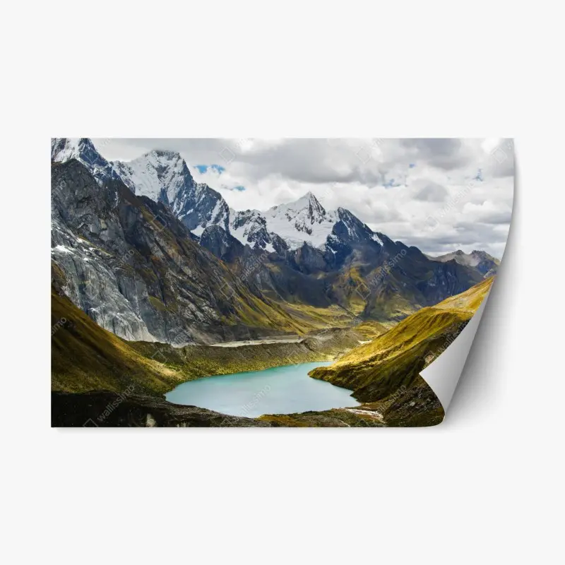 Repositionable sticker • Wallissimo®
