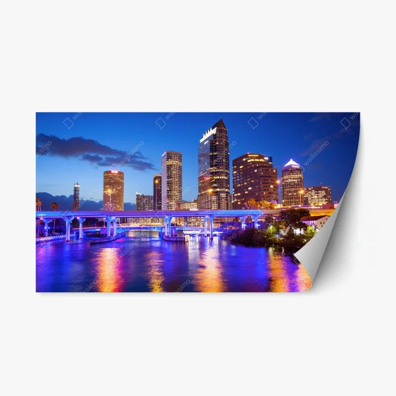 Repositionable sticker Tampa skyline at night