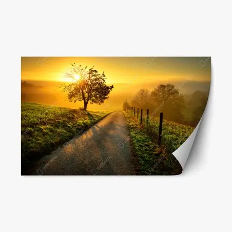 Repositionable sticker sunlit countryside path at sunrise • Wallissimo®