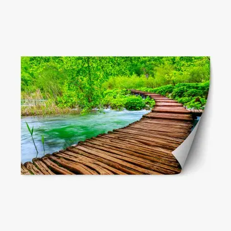 Repositionable sticker serene green boardwalk over river • Wallissimo®