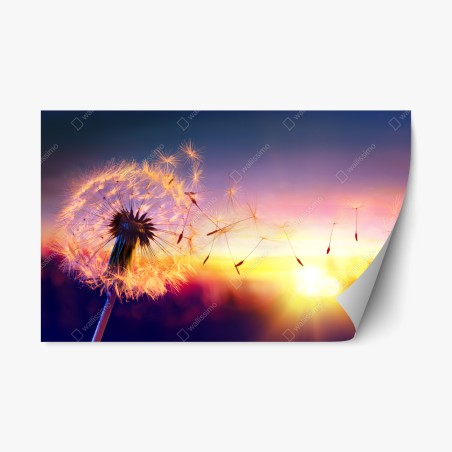 Repositionable sticker golden dandelion at sunset • Wallissimo®