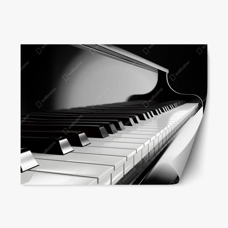 Repositionable sticker elegant monochrome piano keys