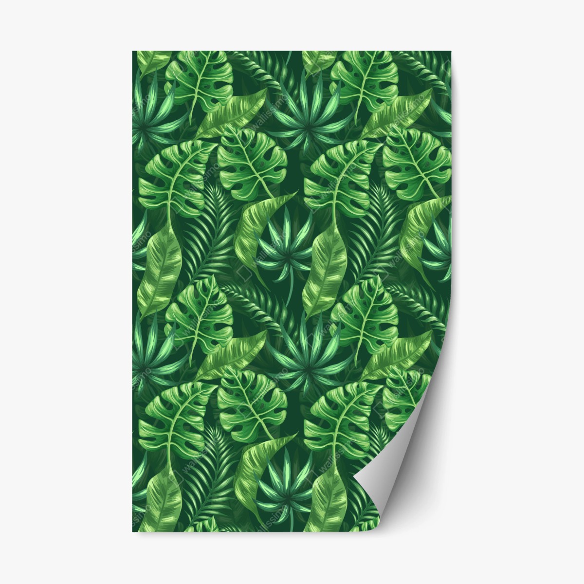 Repositionable sticker tropical monstera leaf pattern • Wallissimo® Repositionable sticker tropical monstera leaf pattern • Wallissimo®