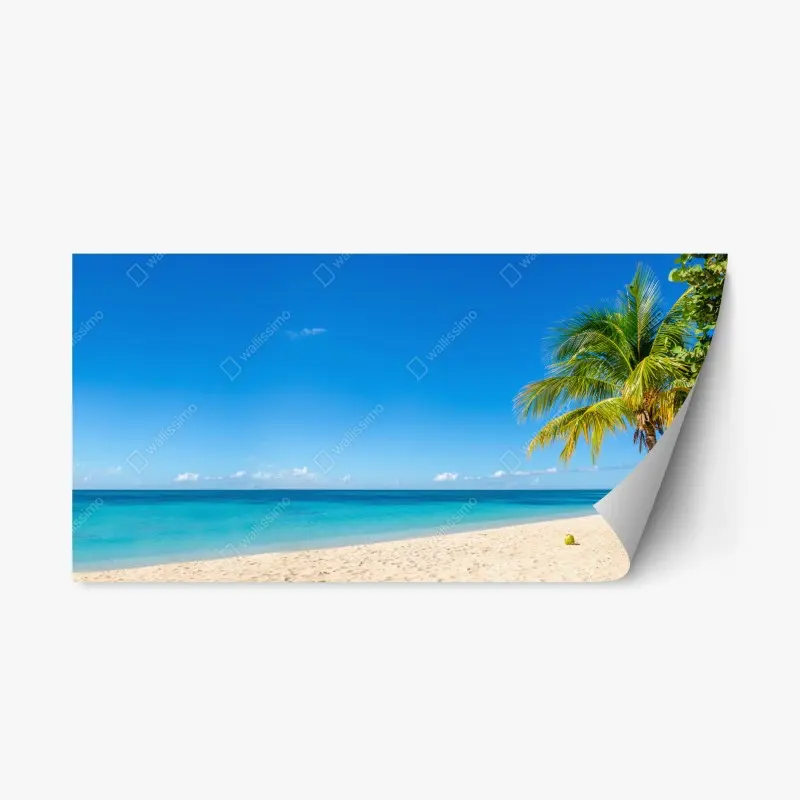 Repositionable sticker tropical turquoise beach with palm tree