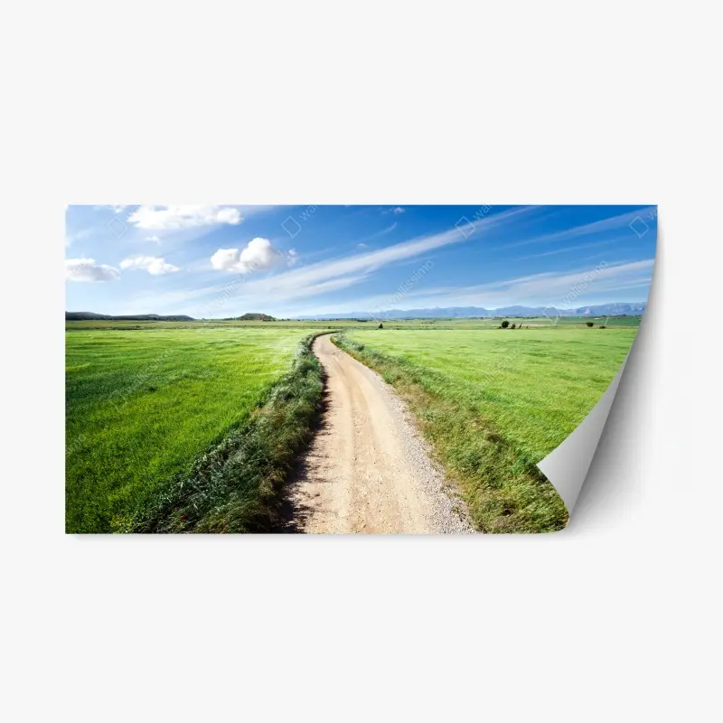 Repositionable sticker winding country road through green meadows