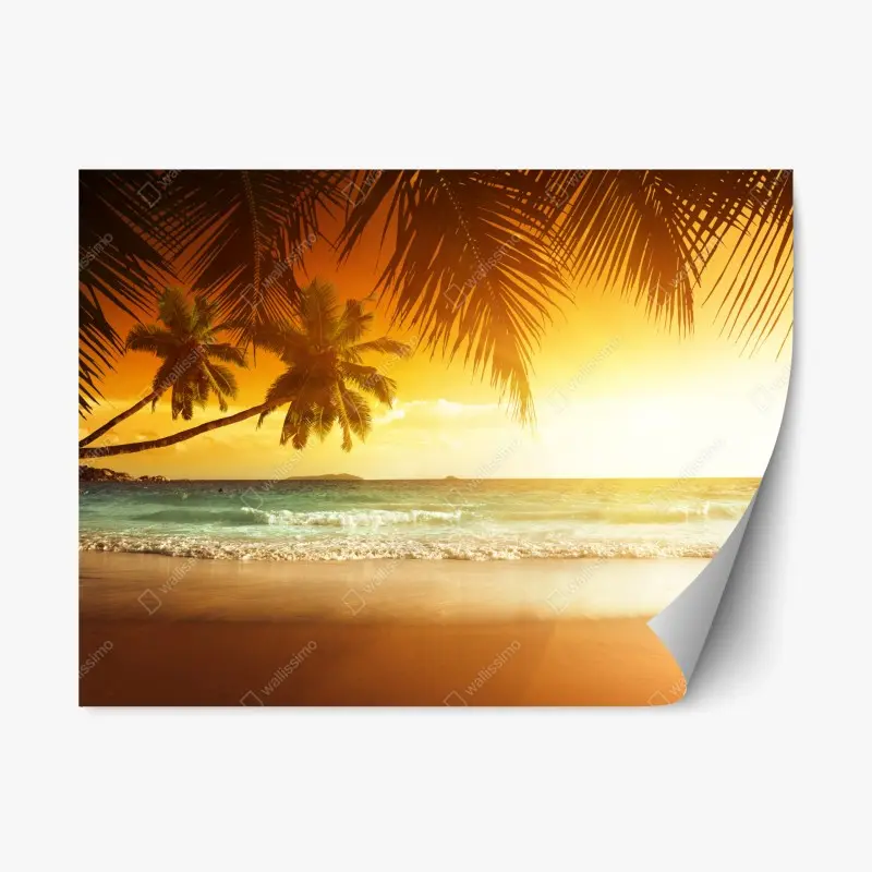 Repositionable sticker tropical orchid floral pattern on dark background • Wallissimo®