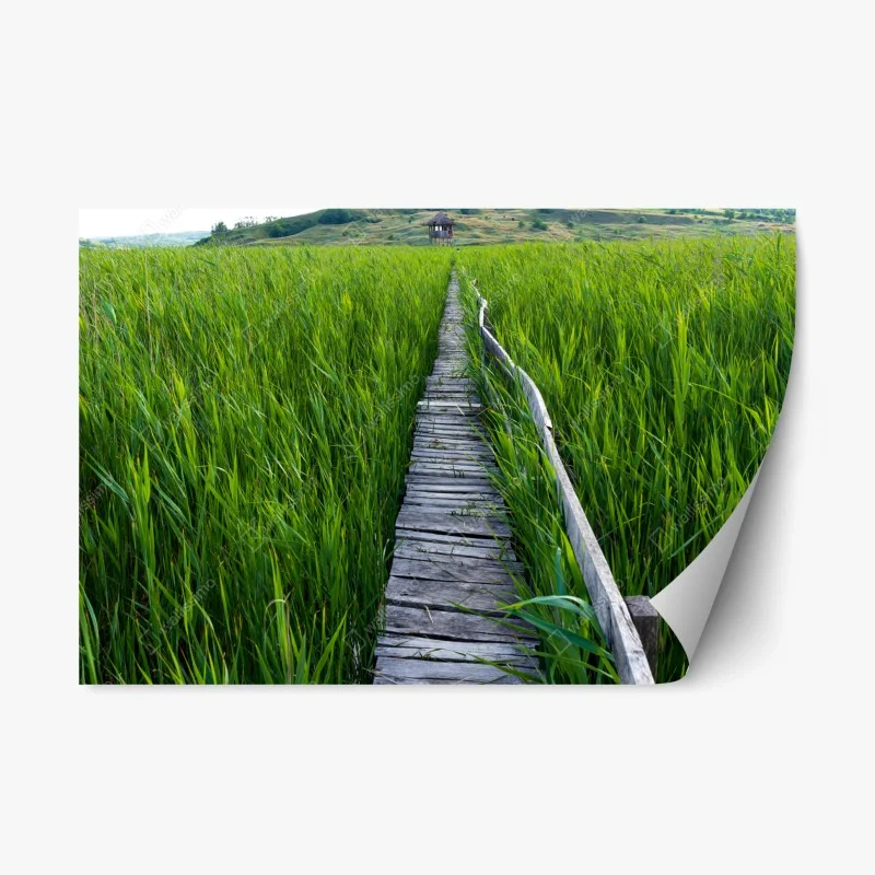 Repositionable sticker serene green marsh boardwalk to rustic hut