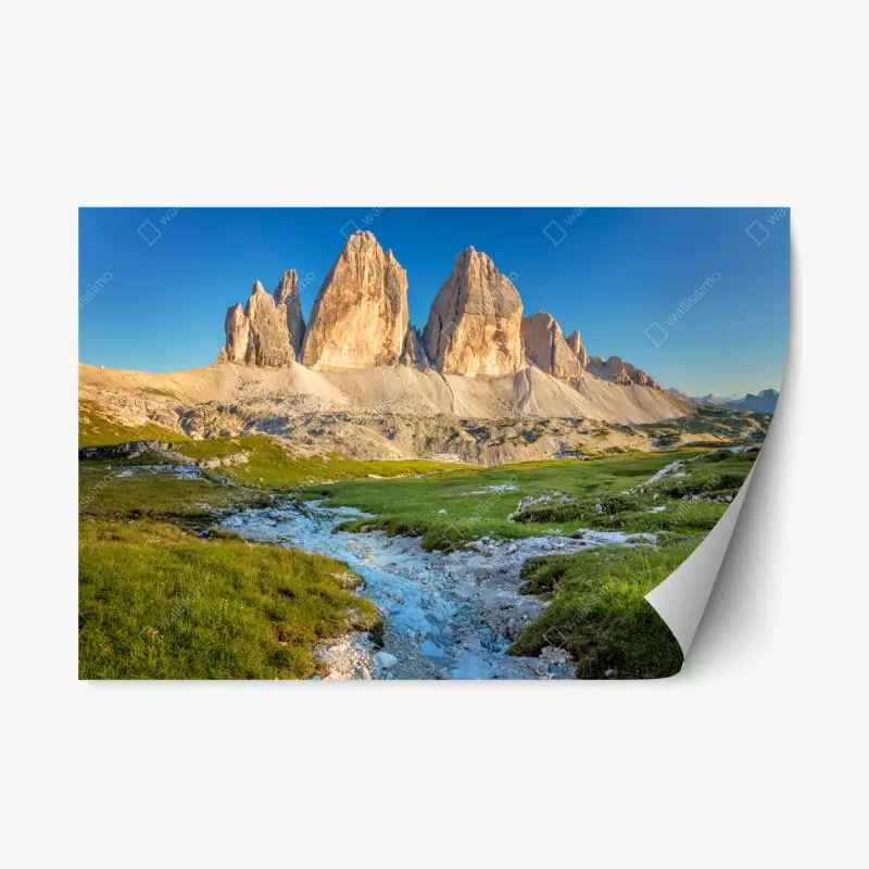 Repositionable sticker opuntia cactus close-up • Wallissimo®