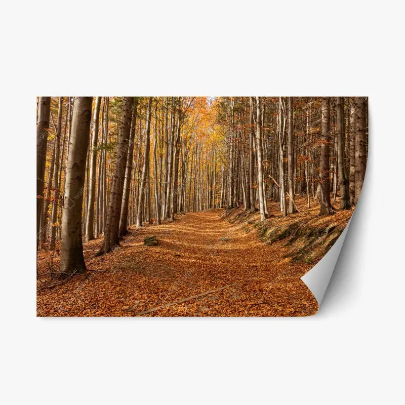 Repositionable sticker autumn forest path with golden leaves