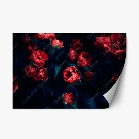 Repositionable sticker moody red tulip bouquet • Wallissimo®