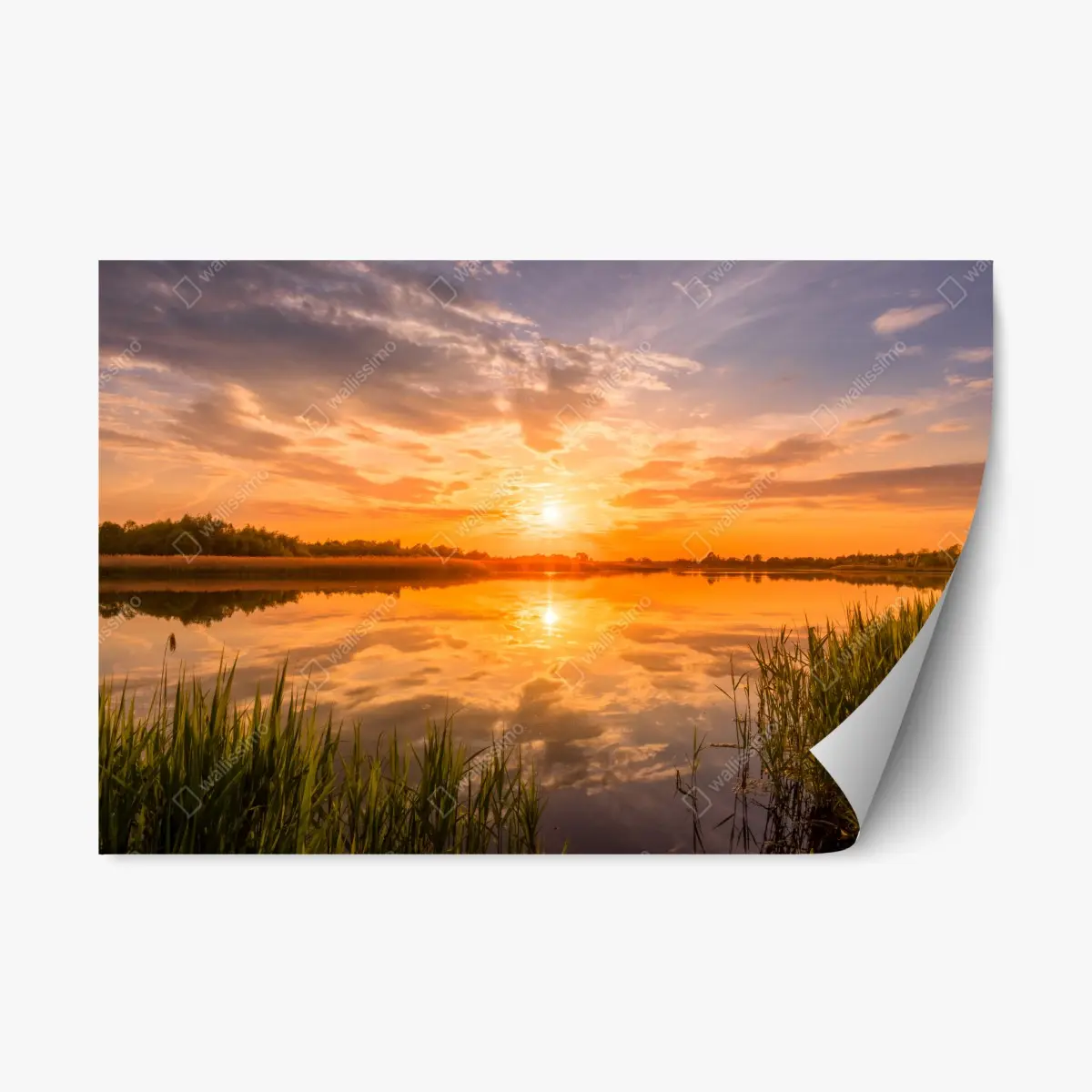 Repositionable sticker golden sunset over tranquil lake • Wallissimo® Repositionable sticker golden sunset over tranquil lake • Wallissimo®