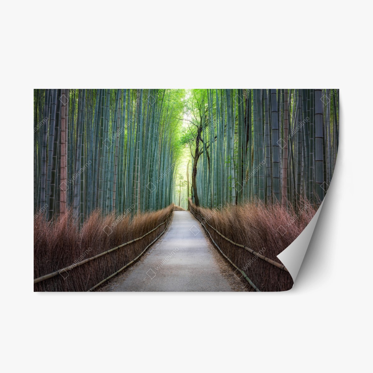 Repositionable sticker serene bamboo forest pathway • Wallissimo® Repositionable sticker serene bamboo forest pathway • Wallissimo®
