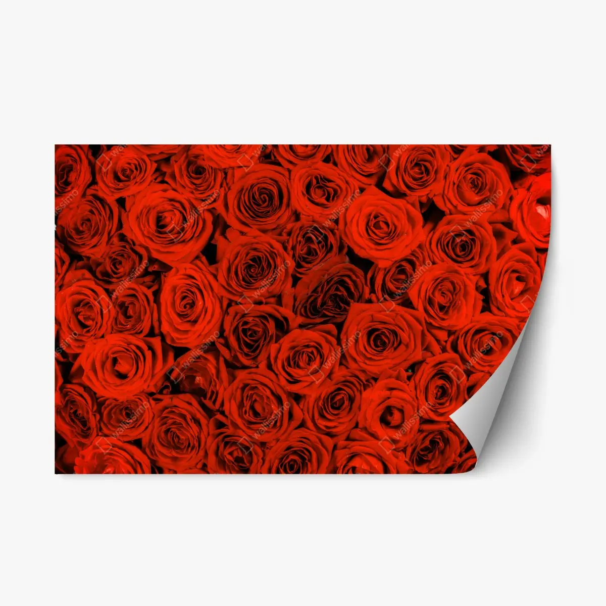 Repositionable sticker lush red rose bouquet • Wallissimo® Repositionable sticker lush red rose bouquet • Wallissimo®
