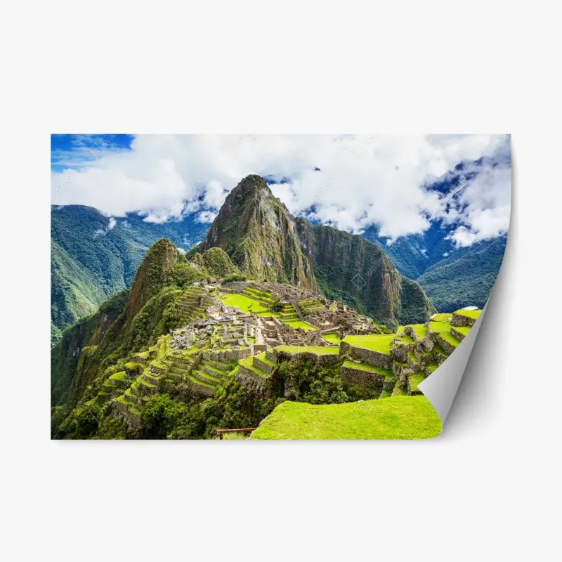 Repositionable sticker • Wallissimo®