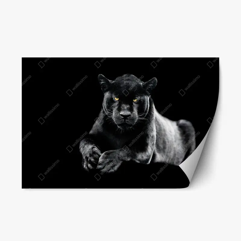 Repositionable sticker tropical palm beach paradise • Wallissimo®