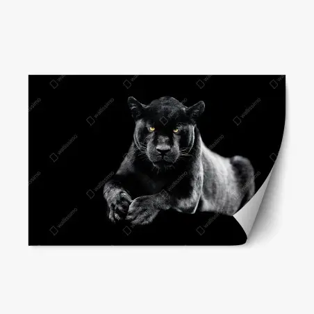 Repositionable sticker black panther portrait on dark background • Wallissimo®