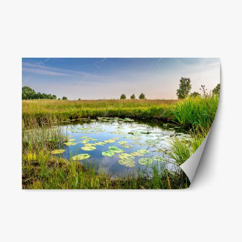 Repositionable sticker sunset over rugged coastal cliffs • Wallissimo®