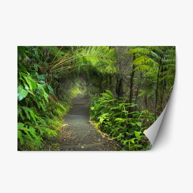 Repositionable sticker lush rainforest trail in Kilauea Iki, Hawaii
