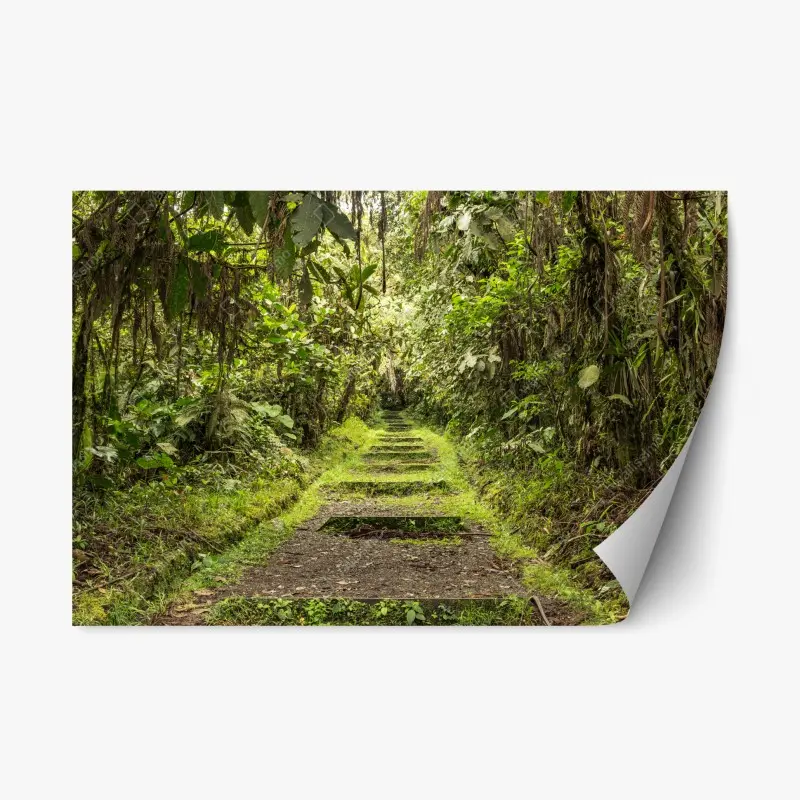 Repositionable sticker lush jungle pathway through verdant rainforest