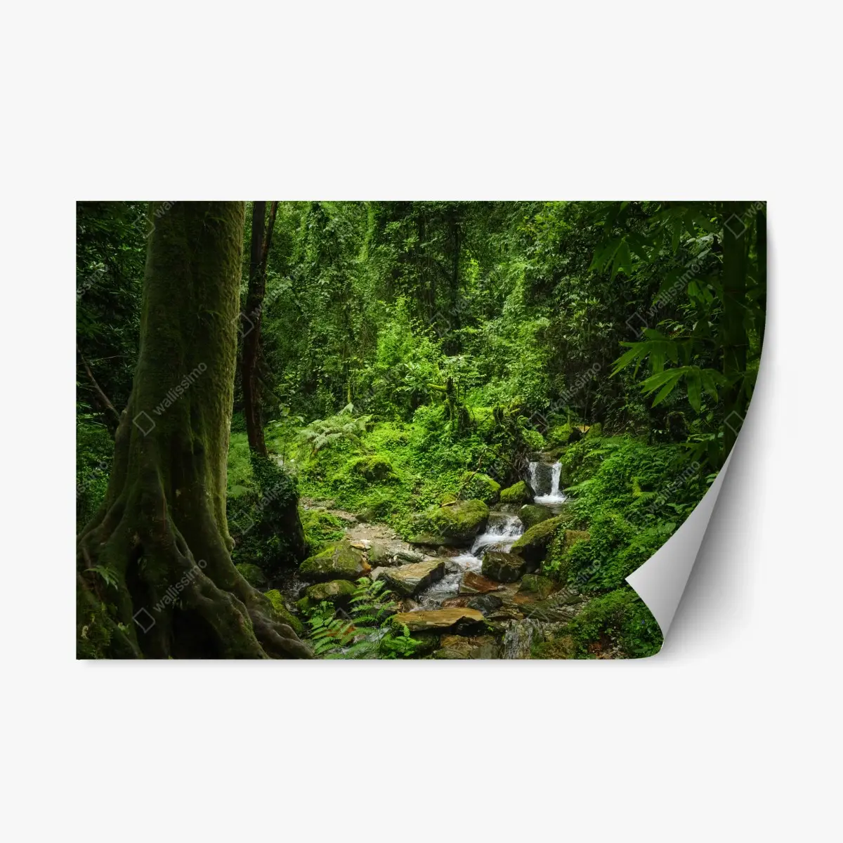 Repositionable sticker lush green forest waterfall • Wallissimo® Repositionable sticker lush green forest waterfall • Wallissimo®