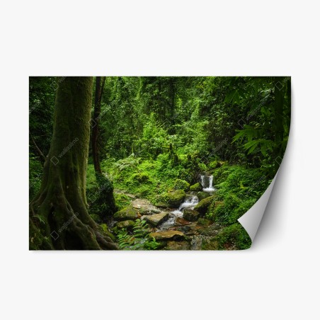 Repositionable sticker lush green forest waterfall • Wallissimo®