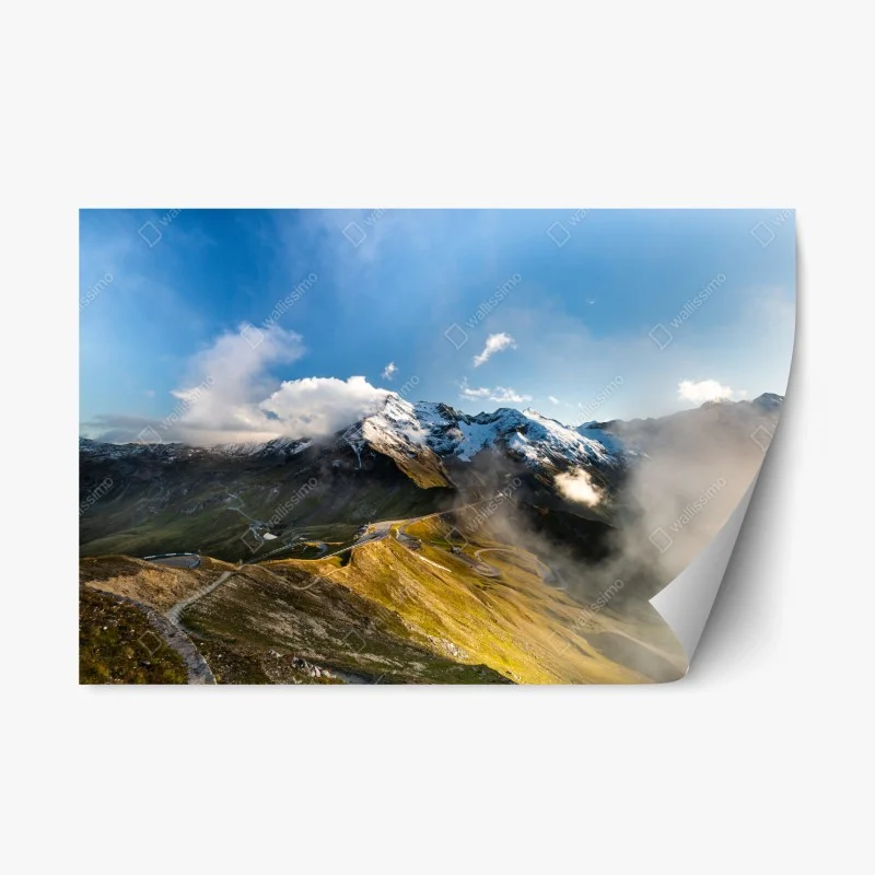 Repositionable sticker • Wallissimo®