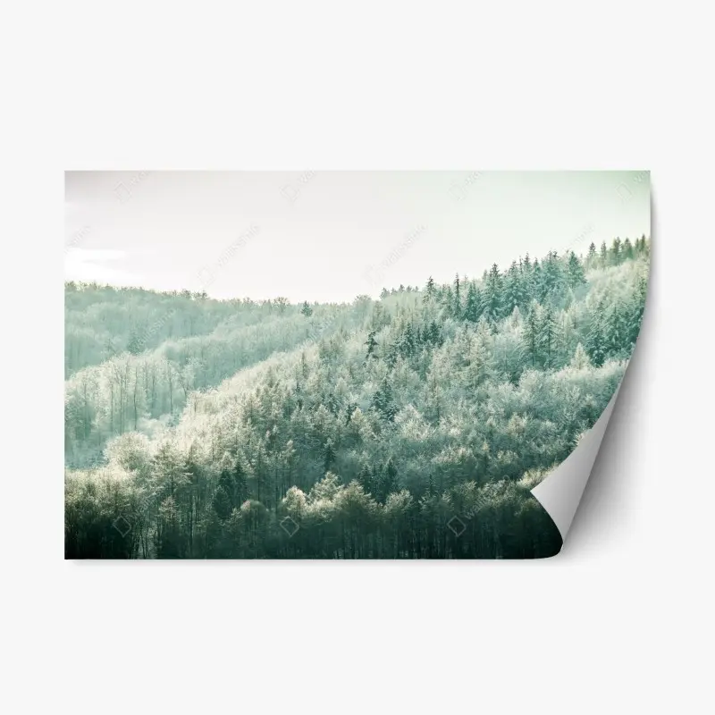Repositionable sticker misty frosted forest landscape