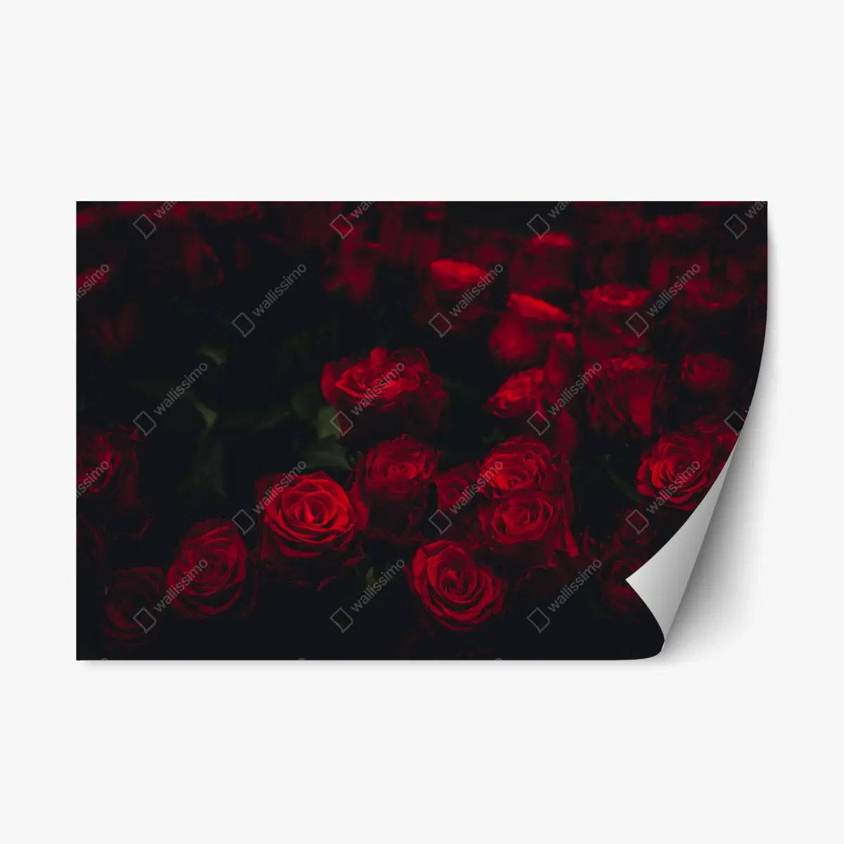 Repositionable sticker moody red rose bouquet • Wallissimo® Repositionable sticker moody red rose bouquet • Wallissimo®