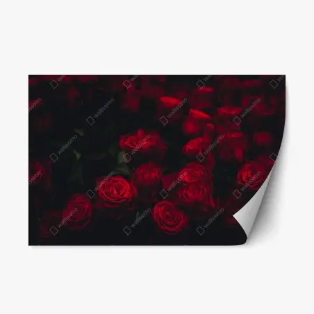Repositionable sticker moody red rose bouquet • Wallissimo®