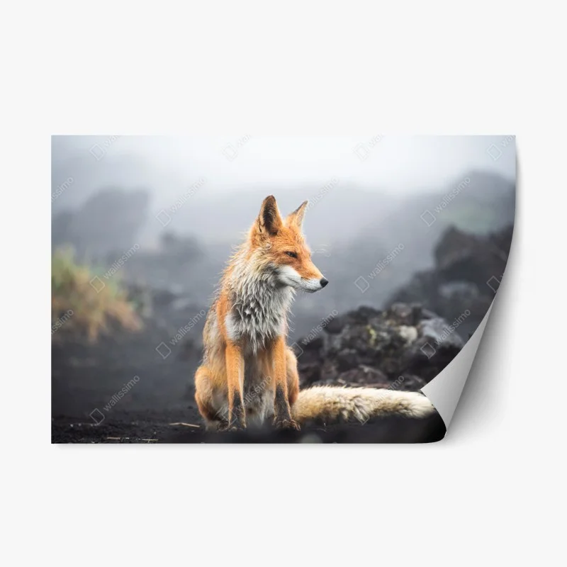 Repositionable sticker • Wallissimo®