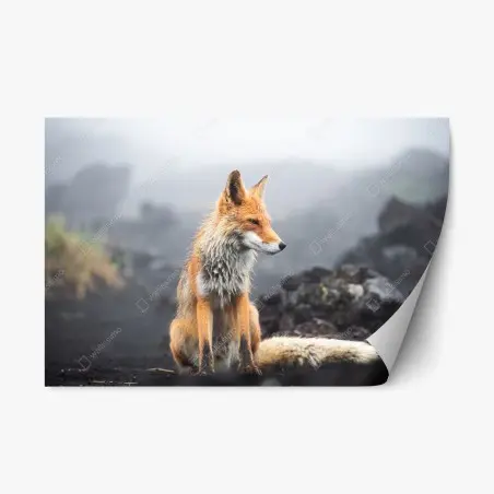 Repositionable sticker red fox in a misty landscape • Wallissimo®