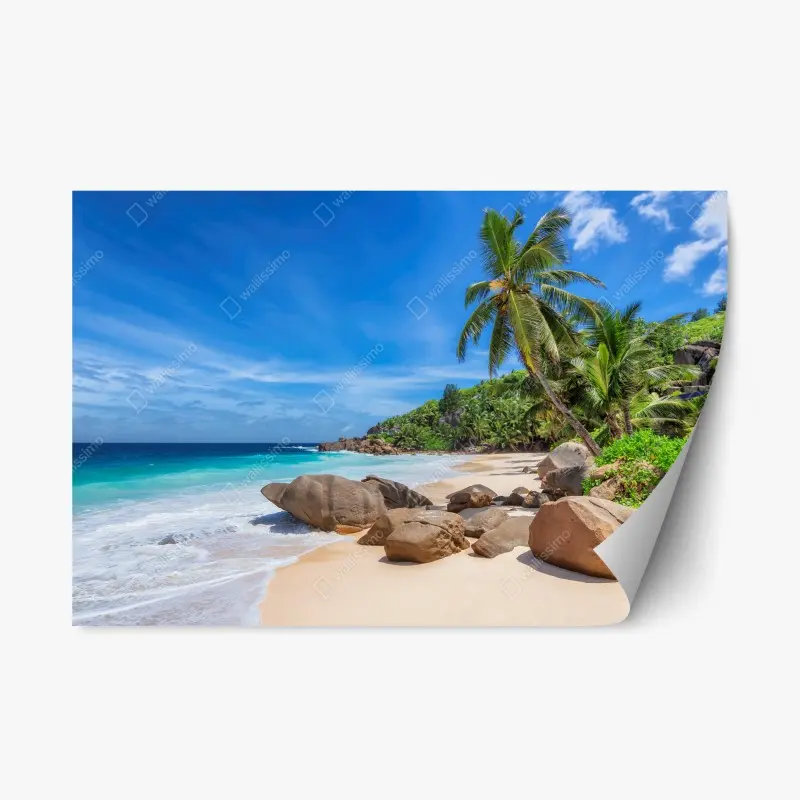 Repositionable sticker tropical palm beach seascape