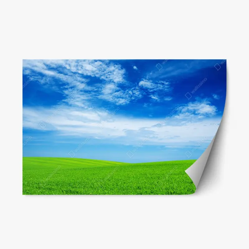 Repositionable sticker sunset over rugged coastal cliffs • Wallissimo®
