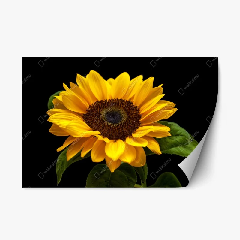 Repositionable sticker tropical palm on white sand beach • Wallissimo®