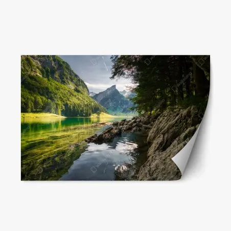 Repositionable sticker serene mountain lake with forest reflections • Wallissimo®