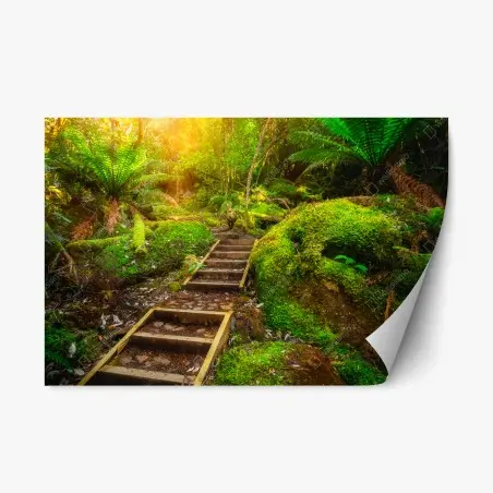 Repositionable sticker mossy rainforest path on Tasman Peninsula • Wallissimo®