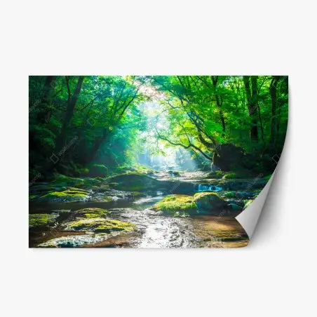 Repositionable sticker sunlit forest stream with mossy rocks • Wallissimo®